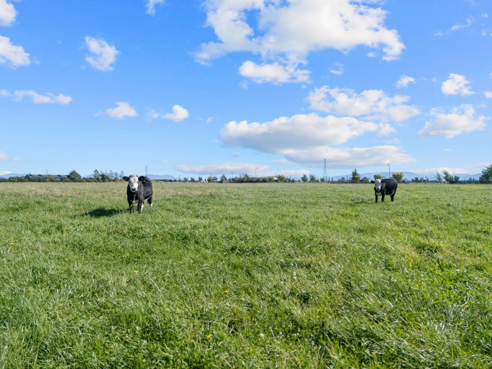 7 Lanz Vale Lane, Huntingdon