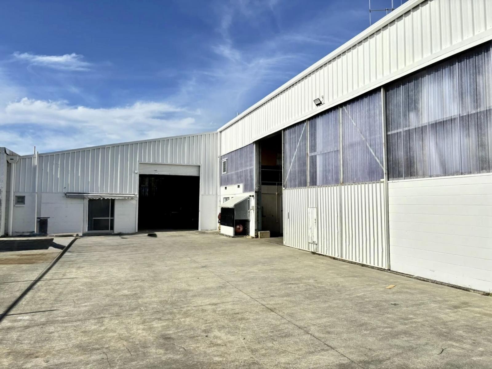 66 Birch Avenue, Judea