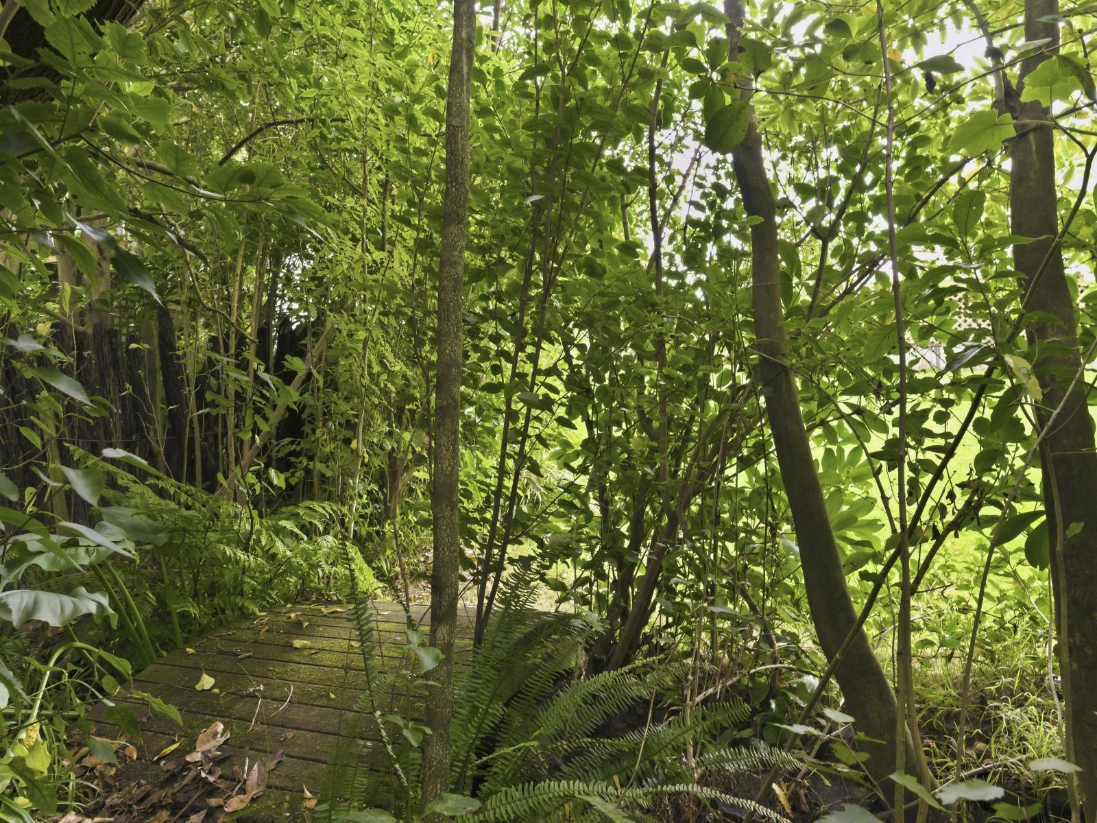 27 Brandon Street, Otaki