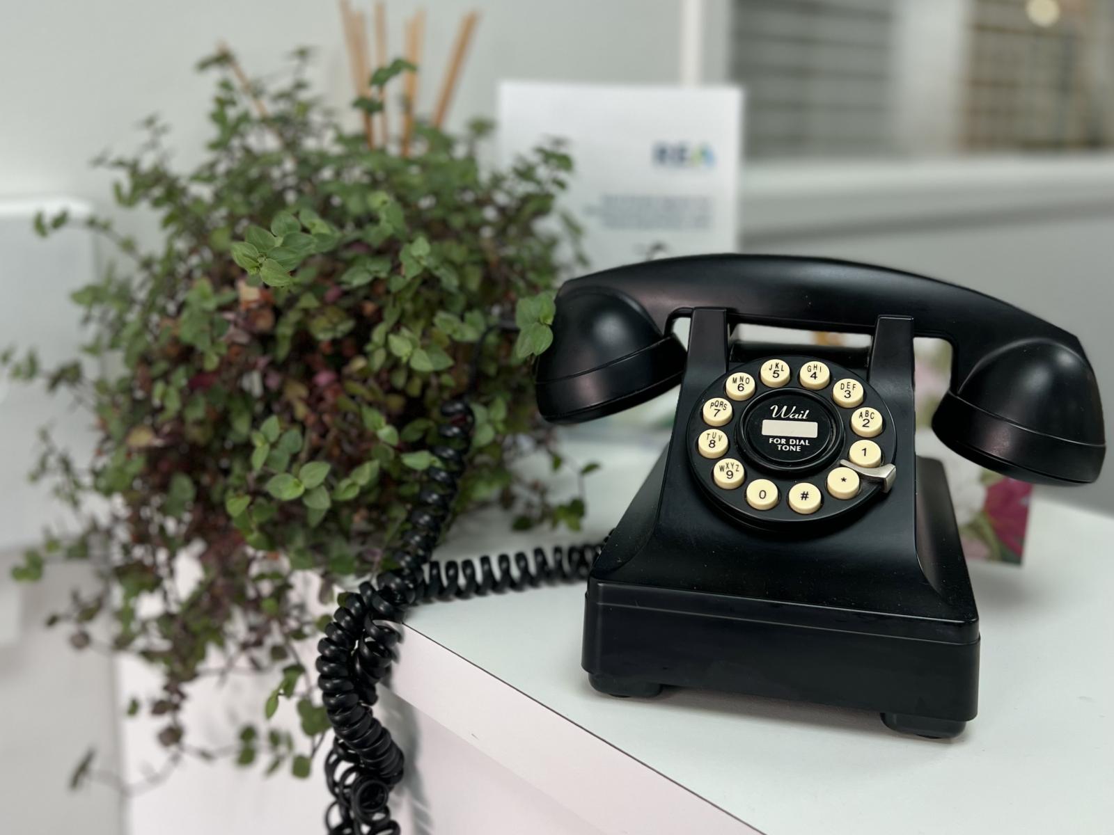 59-61 Walton Street, Whangarei