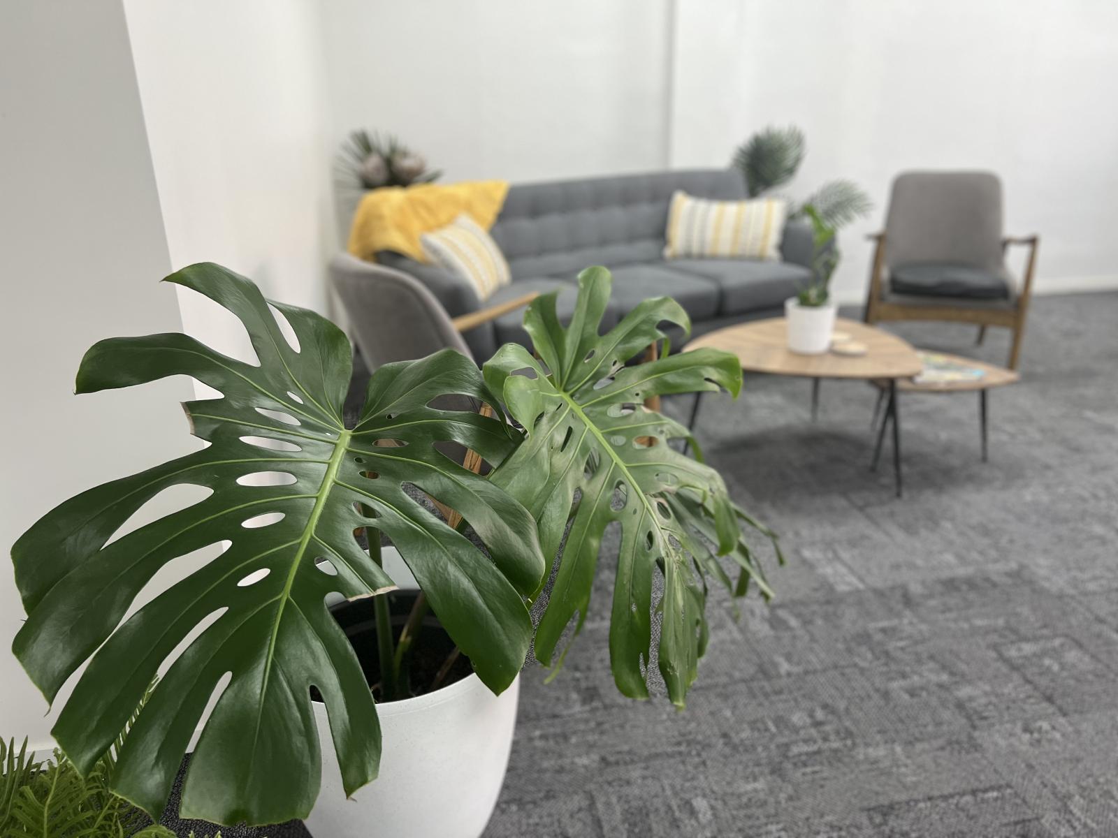 59-61 Walton Street, Whangarei