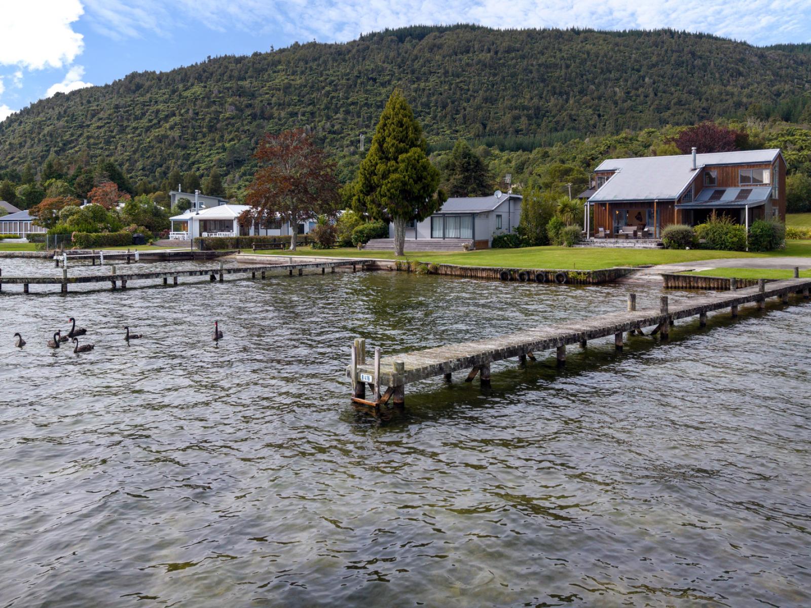 1513 State Highway 30, Rotoiti Forest