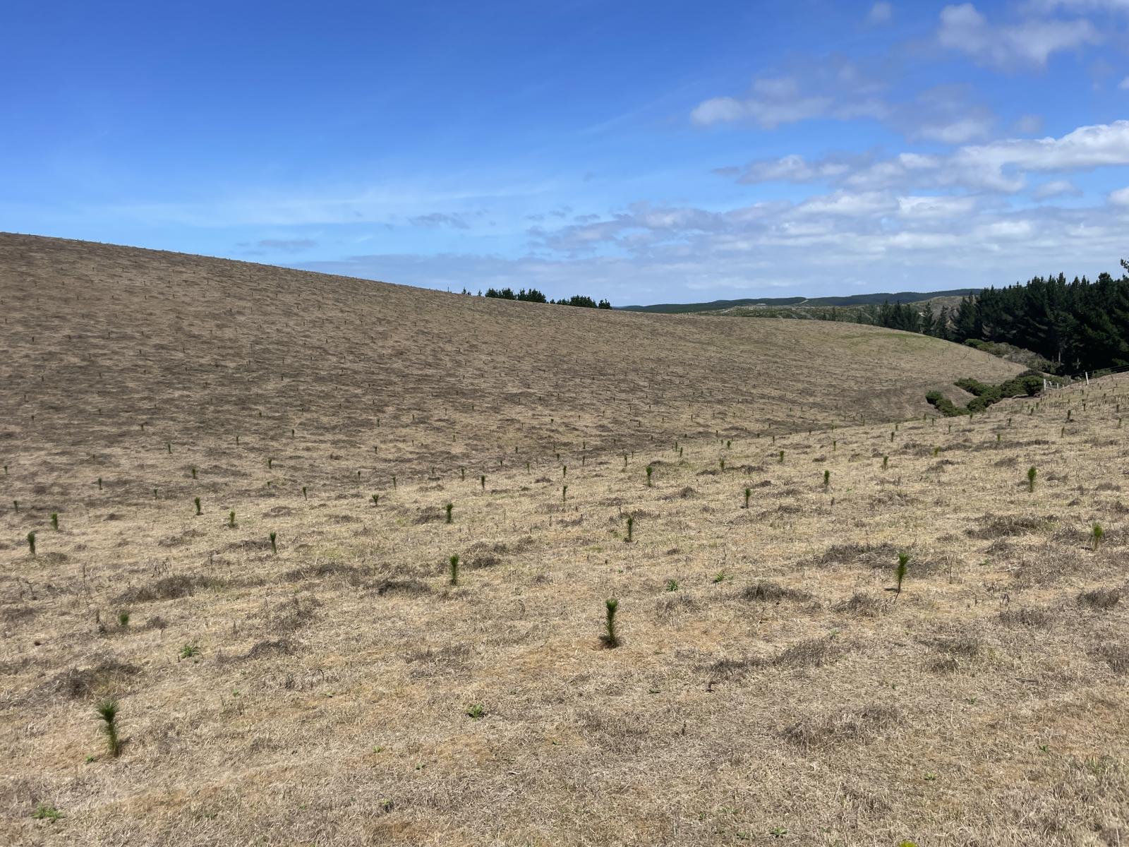 Toko Mouth Road, Toko Mouth