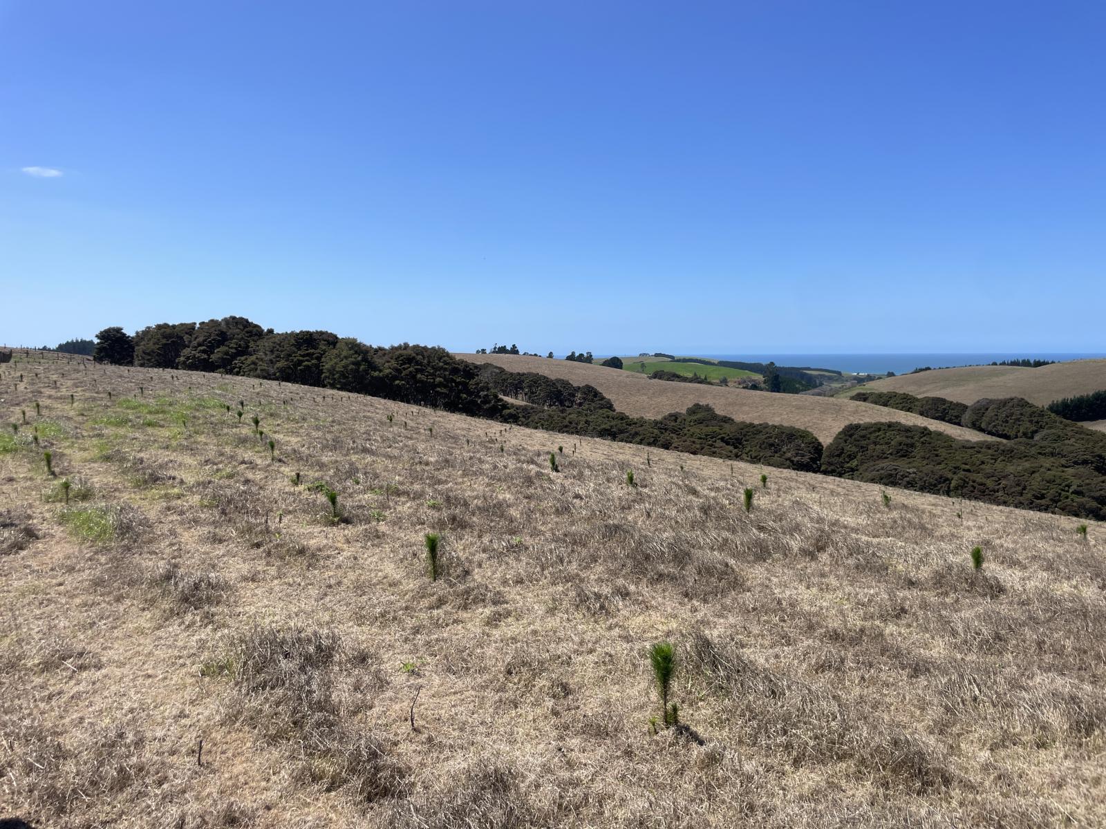 Toko Mouth Road, Toko Mouth