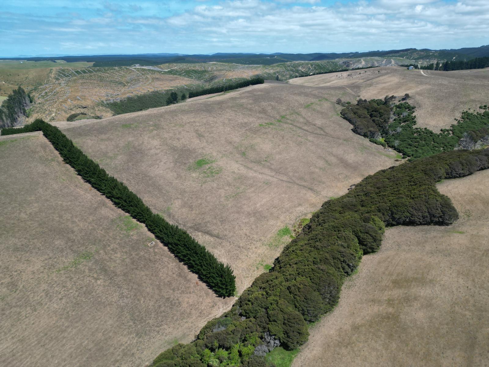 Toko Mouth Road, Toko Mouth