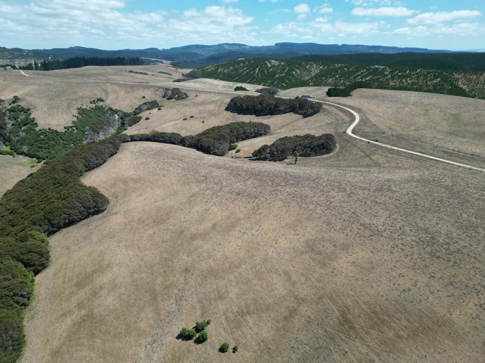 Toko Mouth Road, Toko Mouth