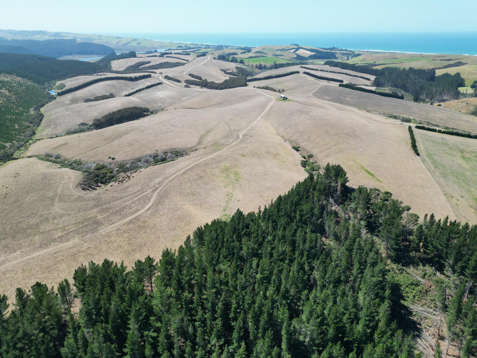 Toko Mouth Road, Toko Mouth