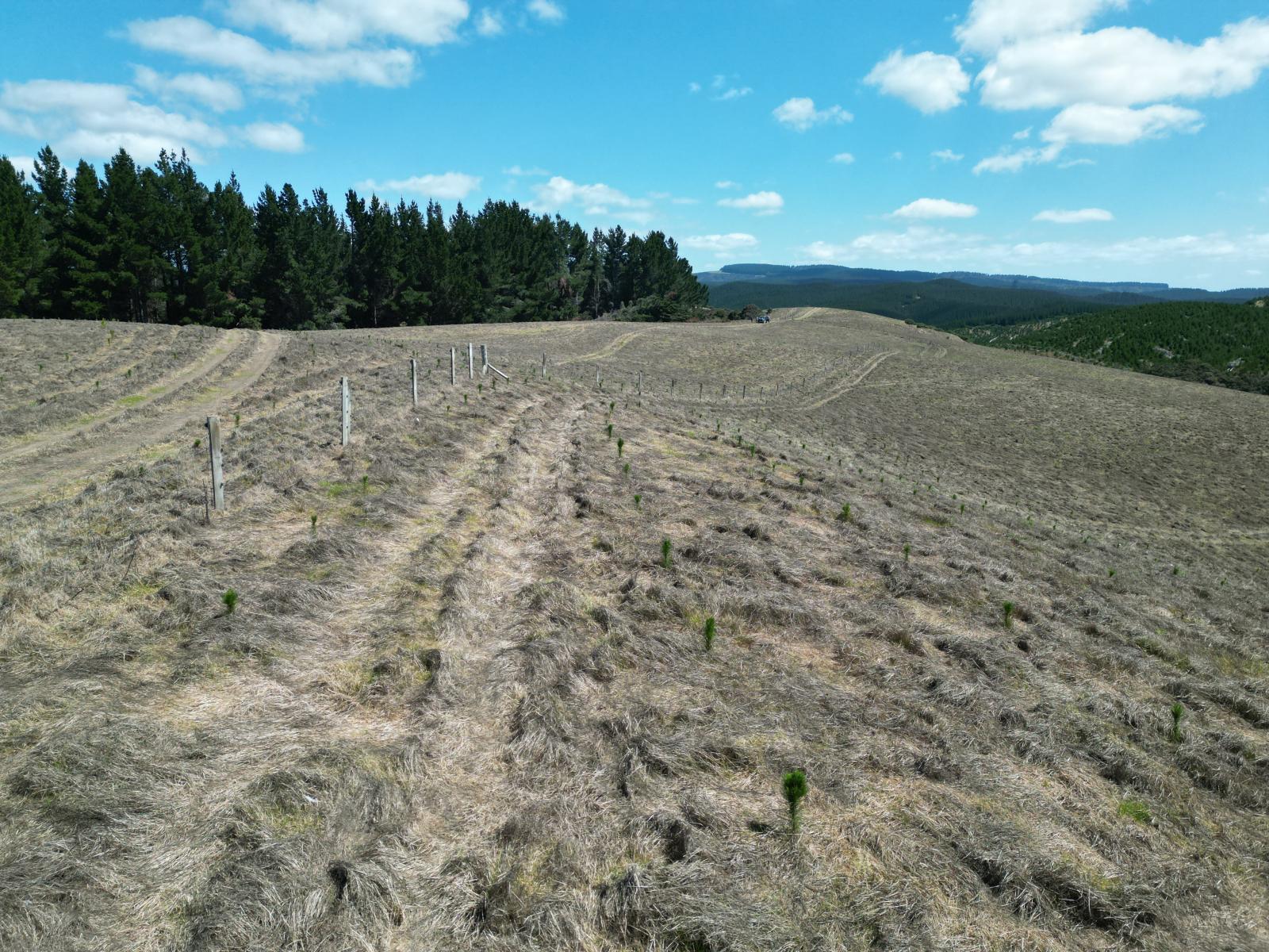Toko Mouth Road, Toko Mouth