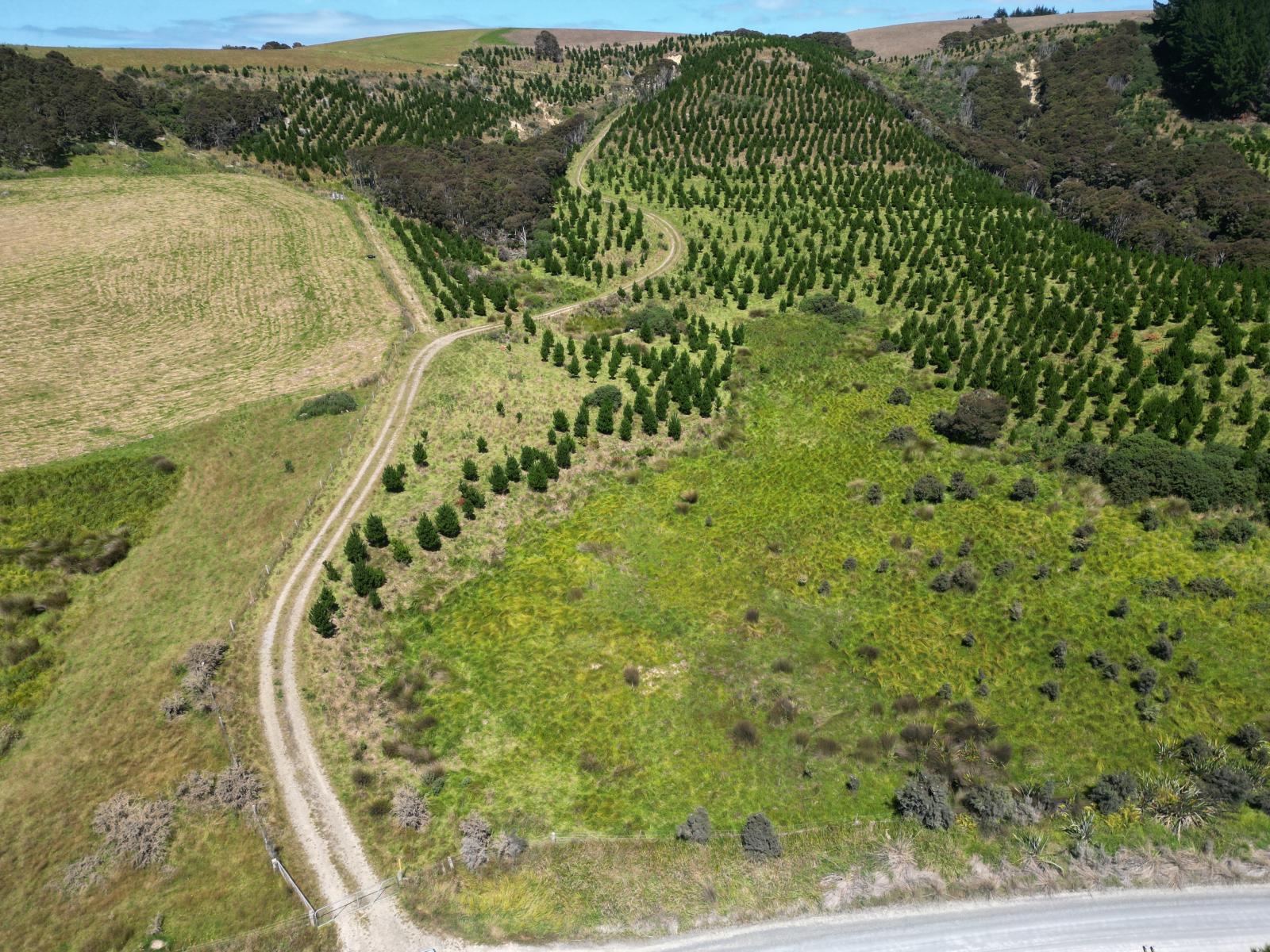 Toko Mouth Road, Toko Mouth