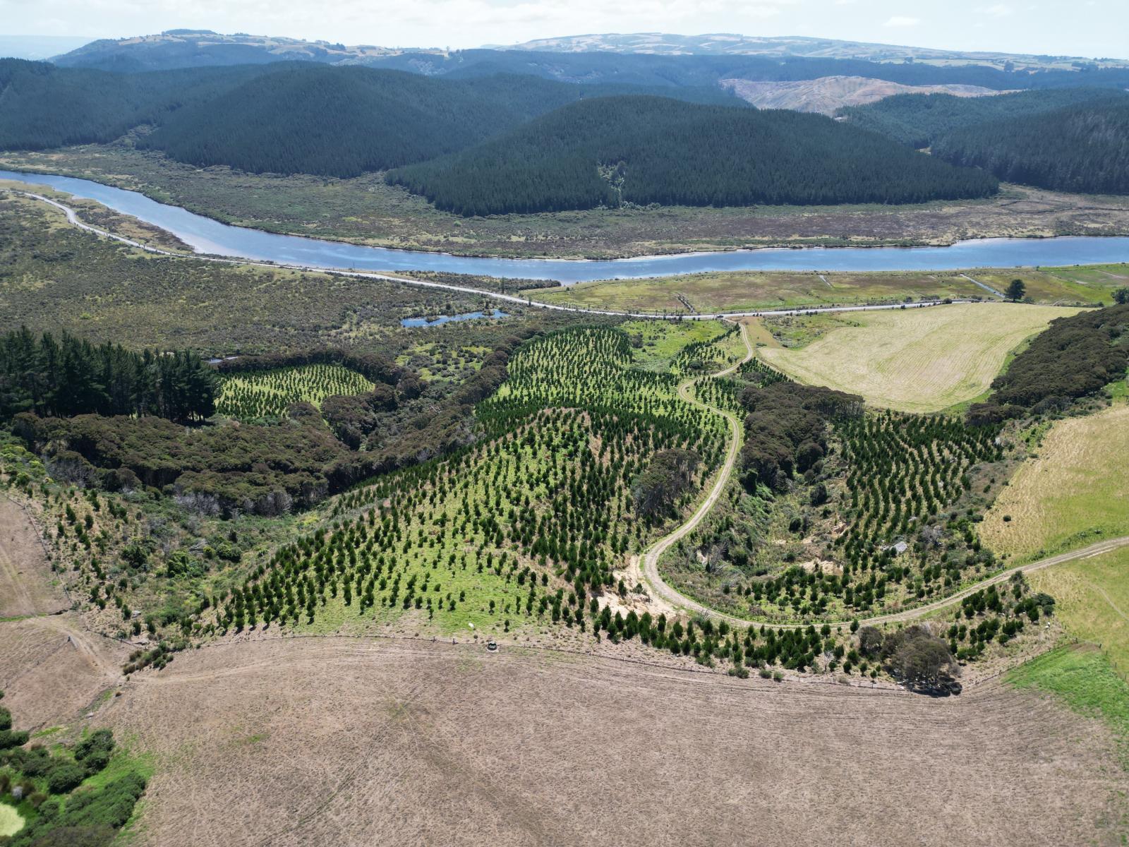 Toko Mouth Road, Toko Mouth
