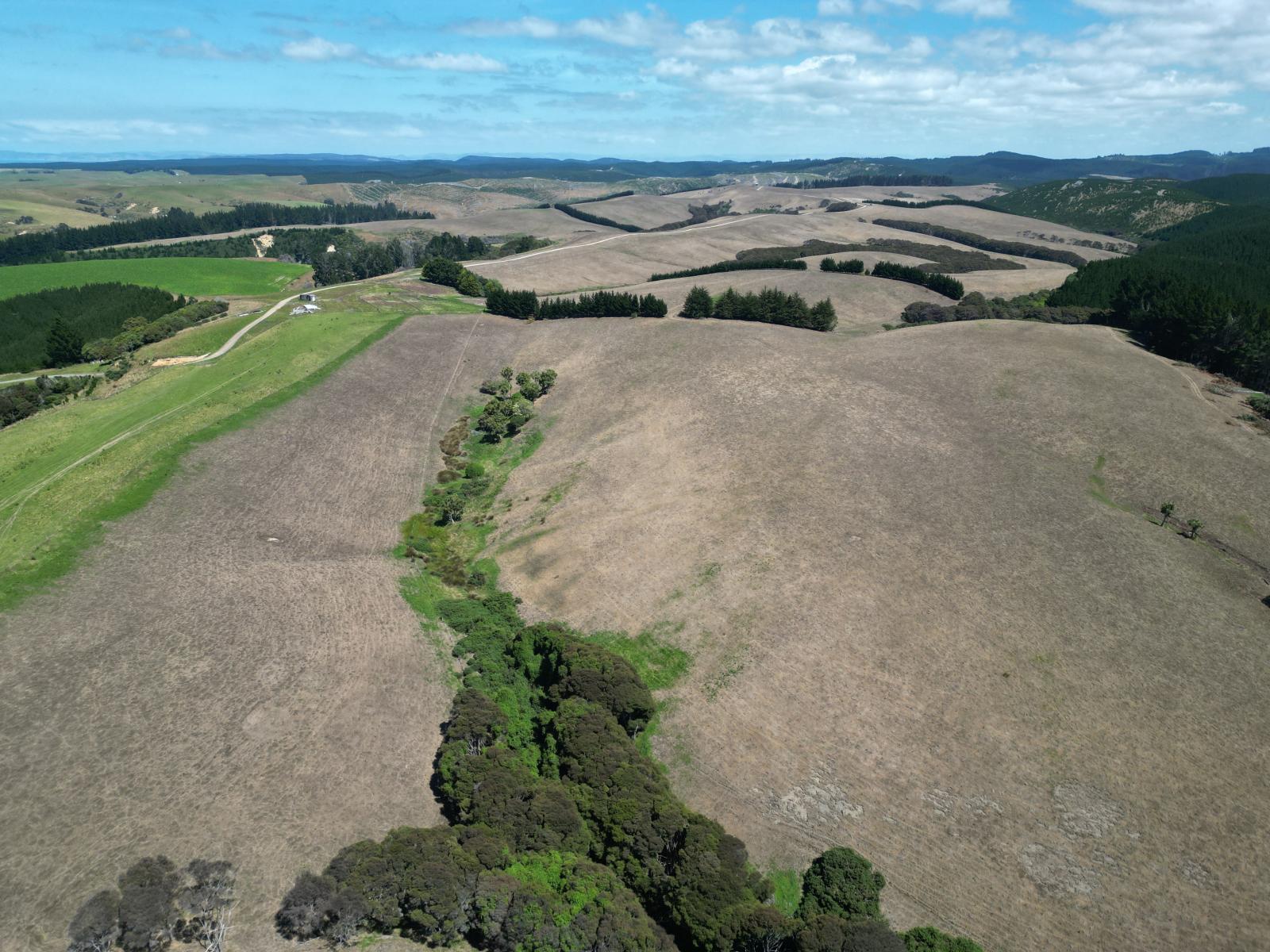 Toko Mouth Road, Toko Mouth