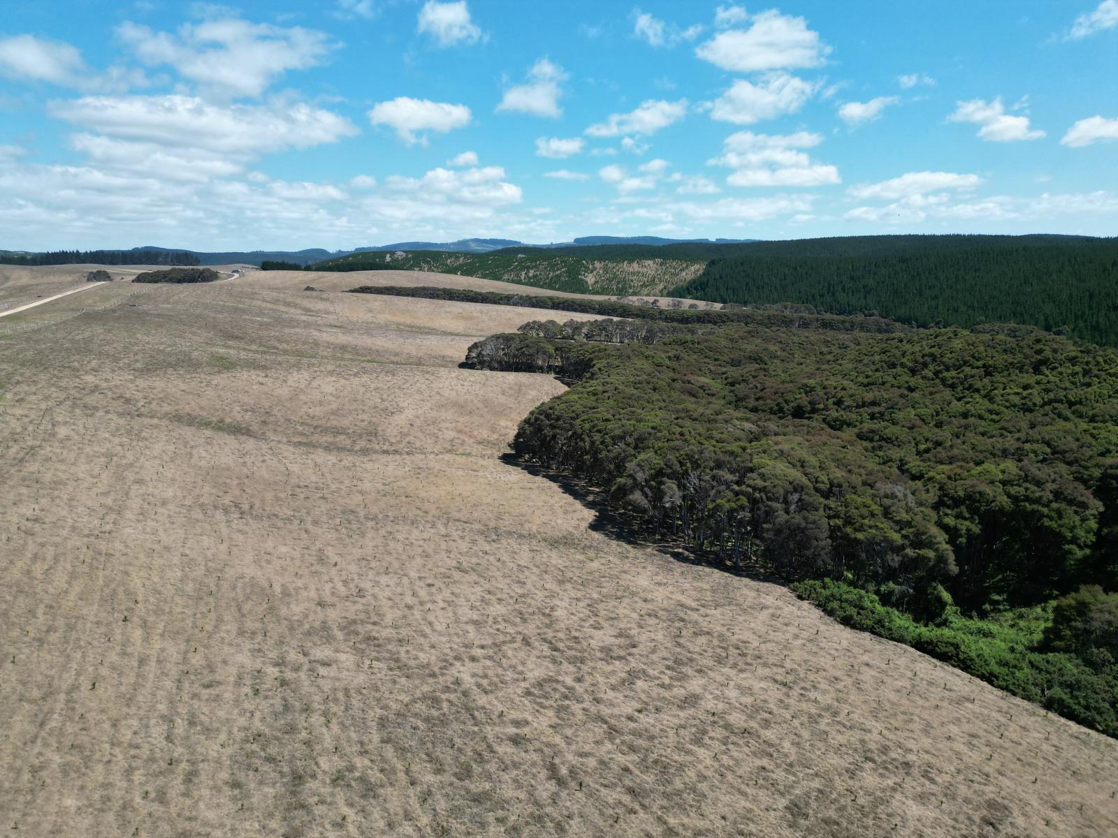 Toko Mouth Road, Toko Mouth