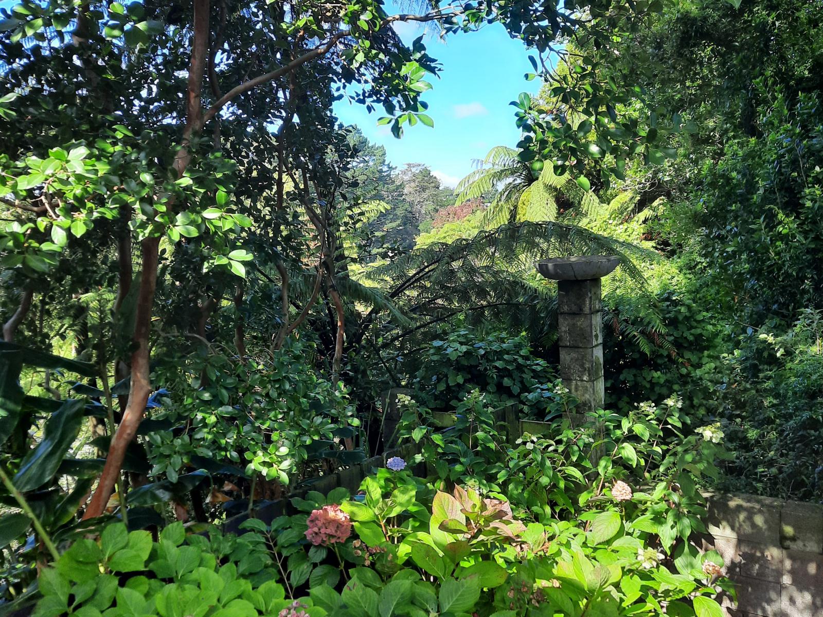 17D Manu Crescent, Upper Vogeltown