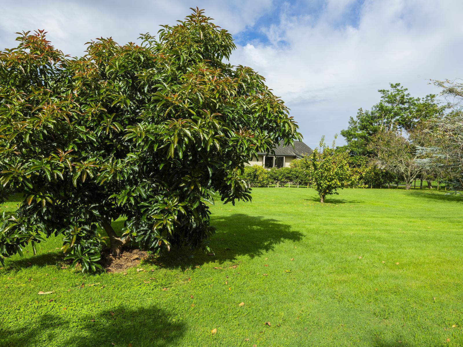109 Hansen Road, Makauri