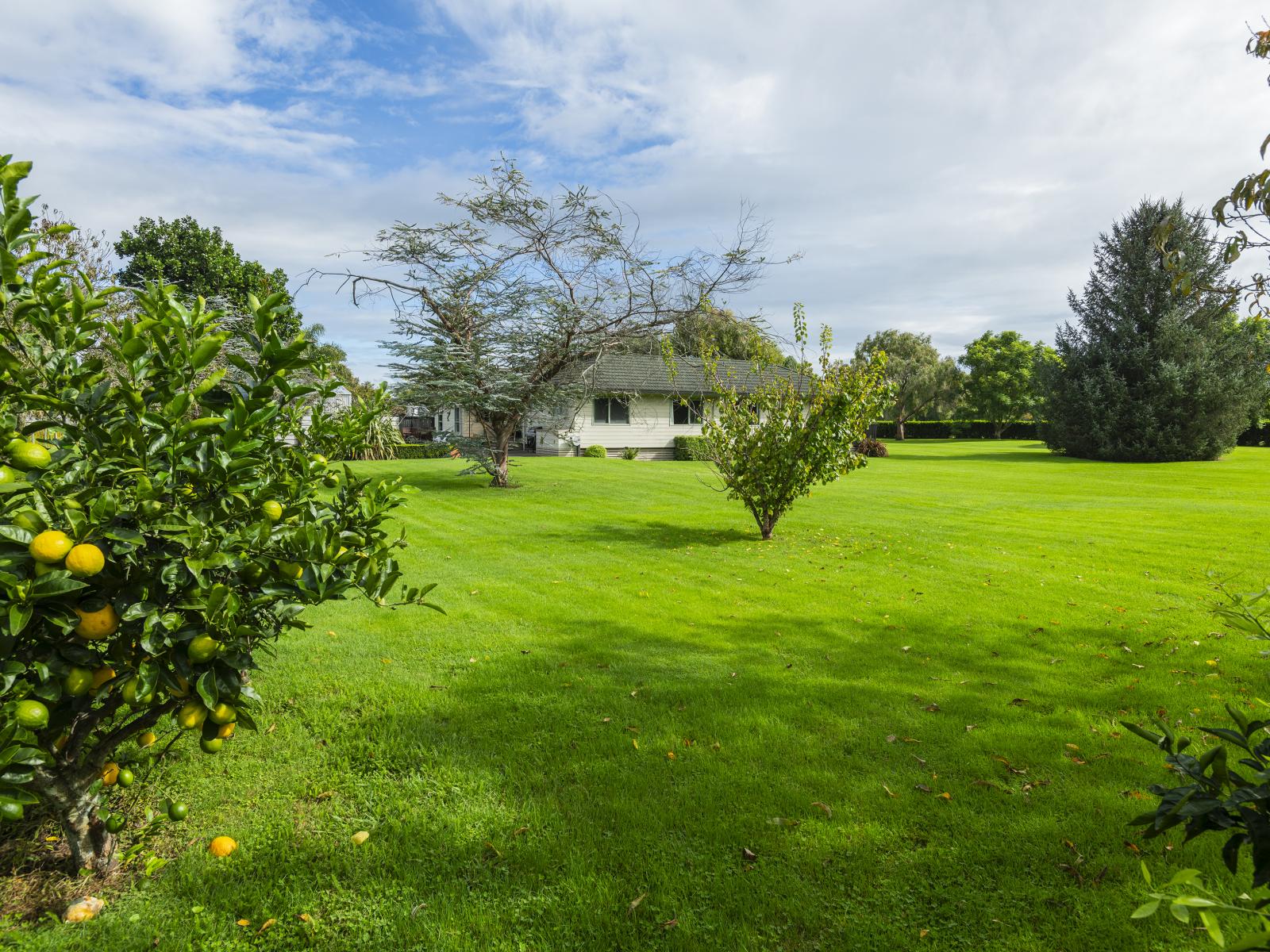 109 Hansen Road, Makauri