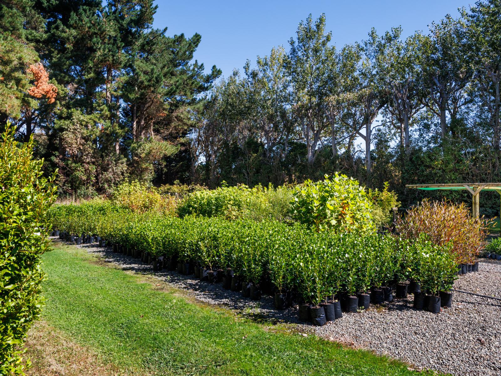 774 Taonui Road, Colyton