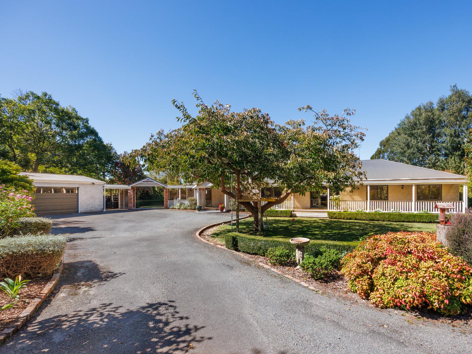 774 Taonui Road, Colyton