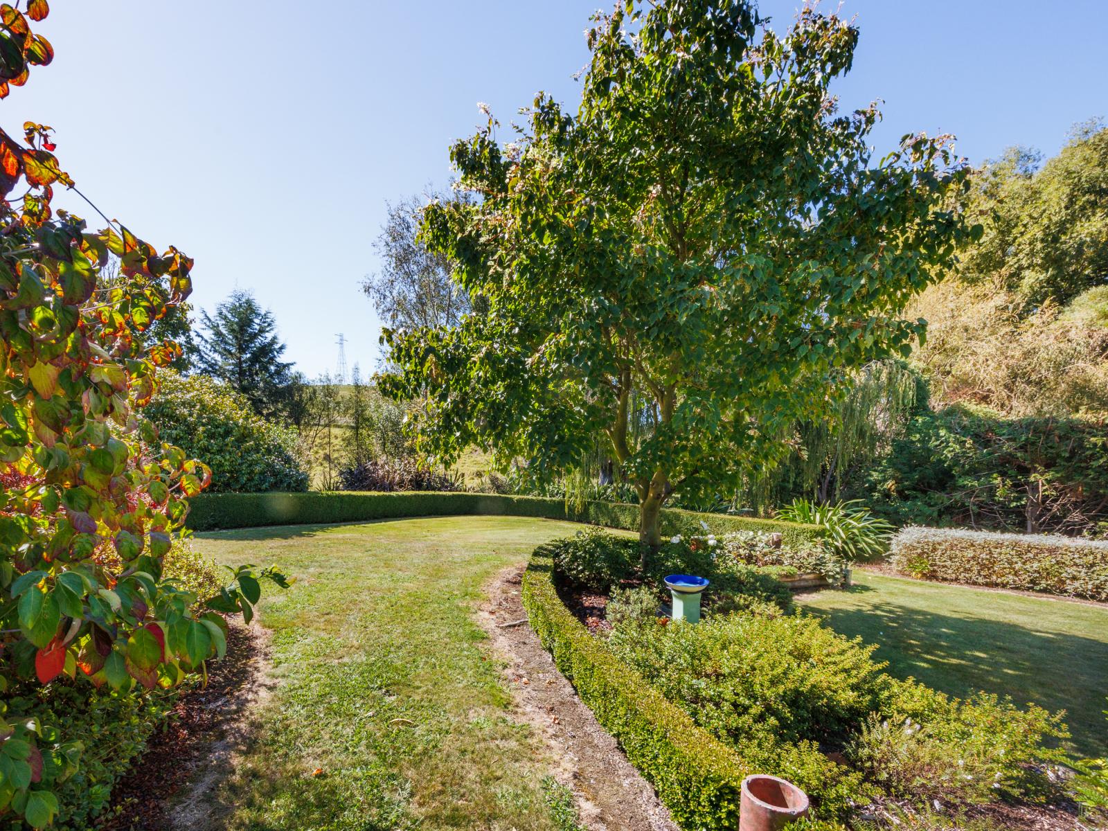 774 Taonui Road, Colyton