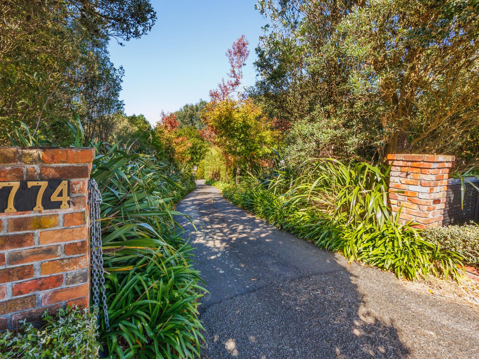 774 Taonui Road, Colyton