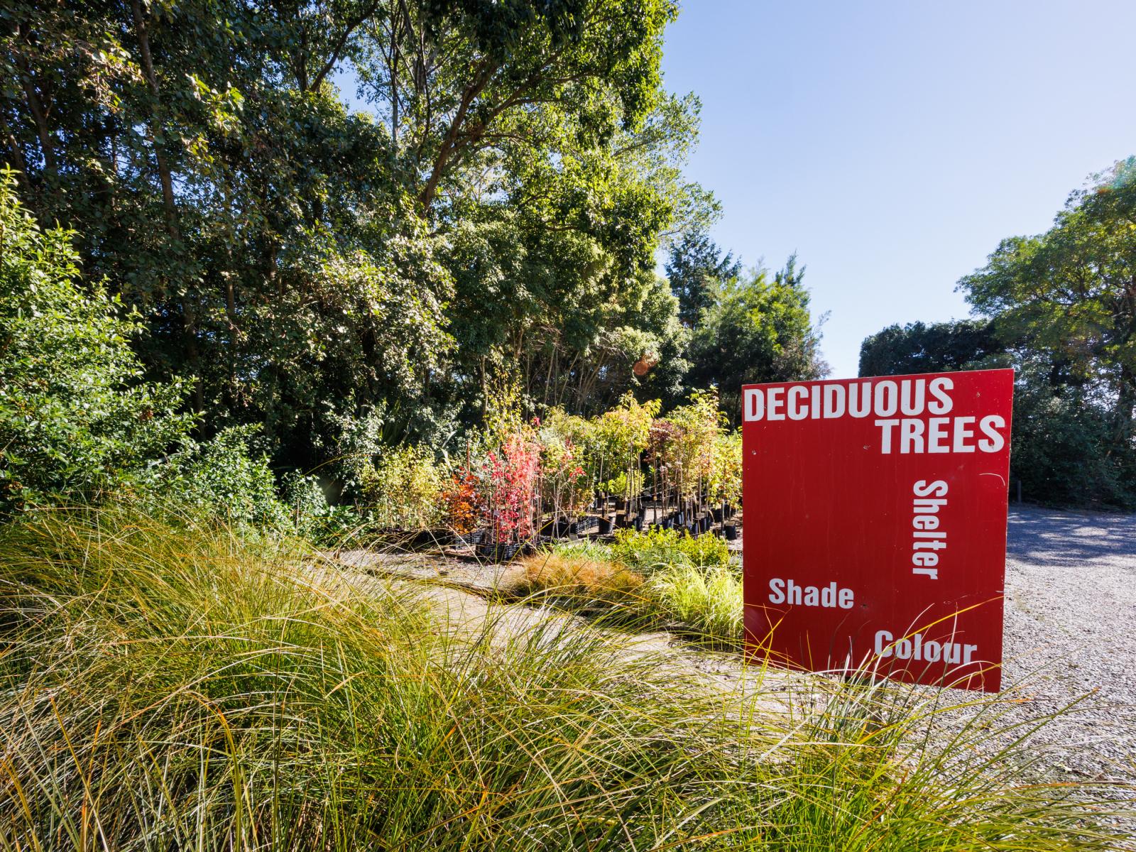 774 Taonui Road, Colyton