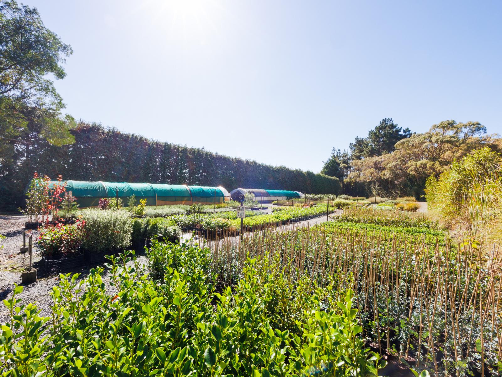 774 Taonui Road, Colyton