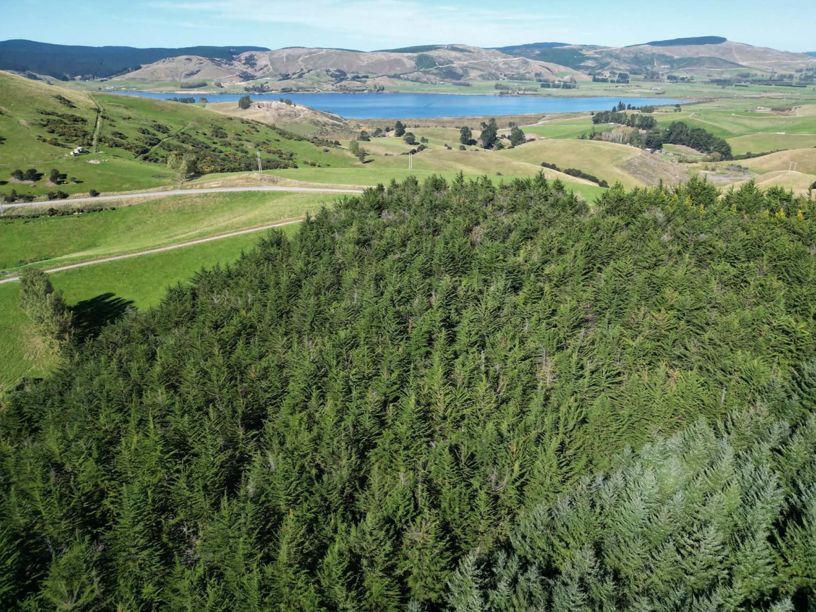 Waihola Hill Road, Clarendon