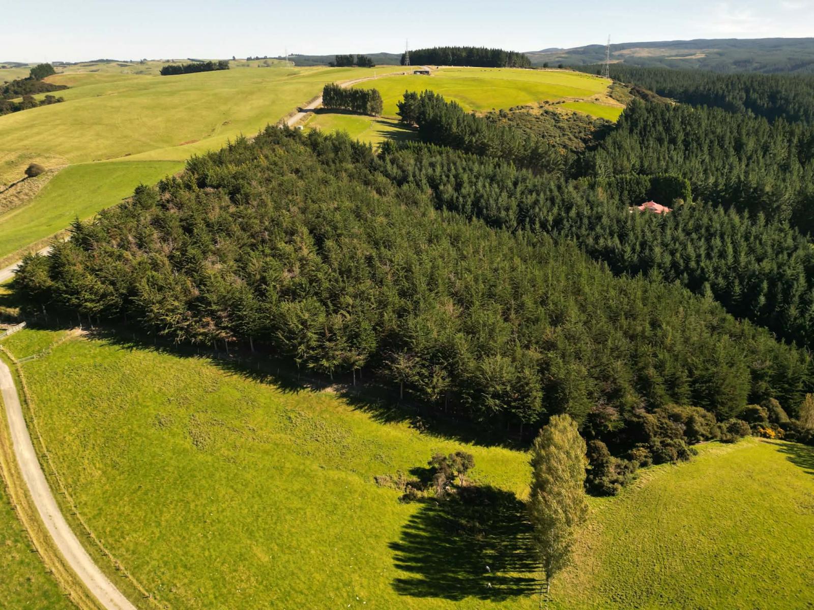 Waihola Hill Road, Clarendon