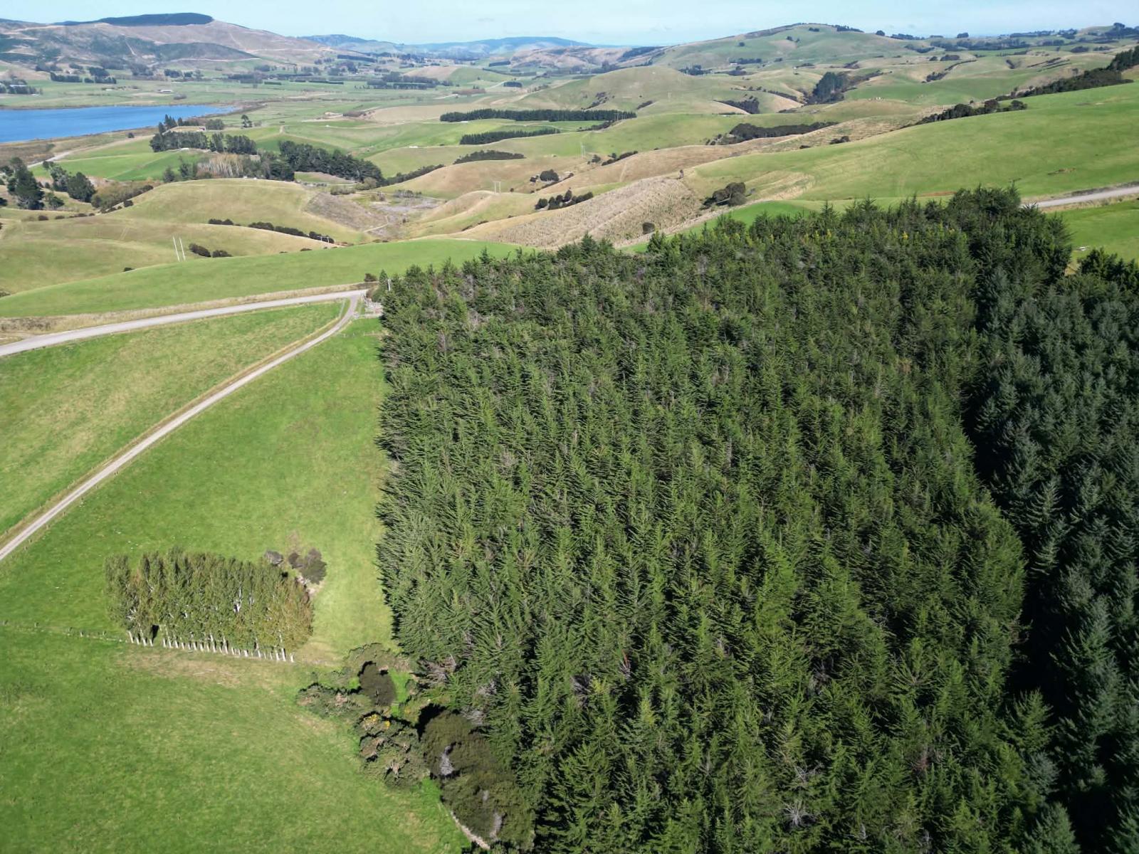 Waihola Hill Road, Clarendon