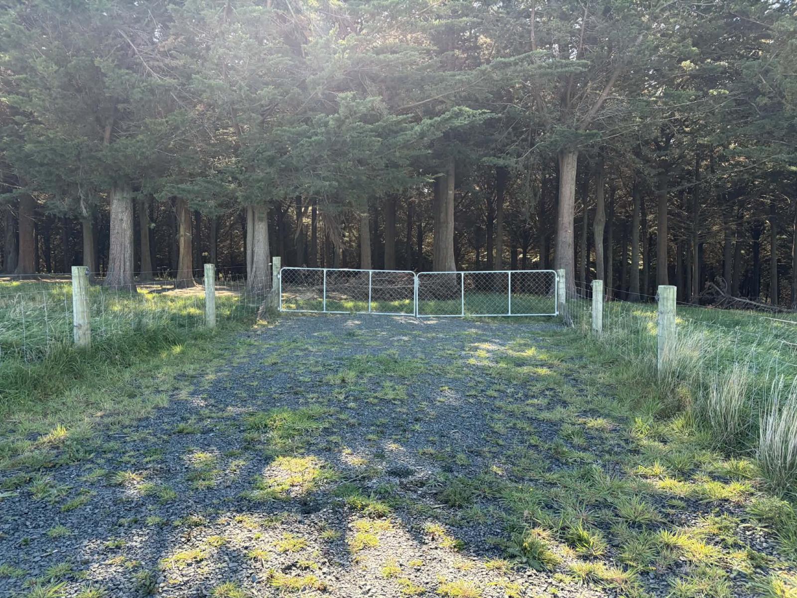 Waihola Hill Road, Clarendon