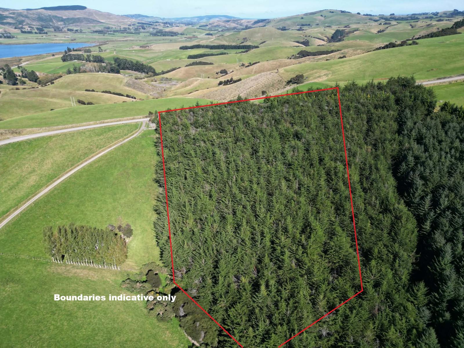 Waihola Hill Road, Clarendon
