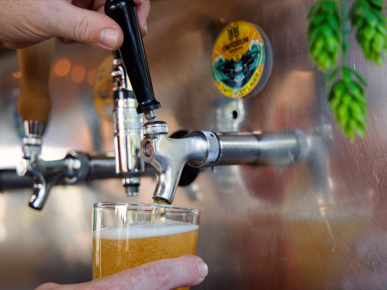 57A Beach Road, Kaikoura