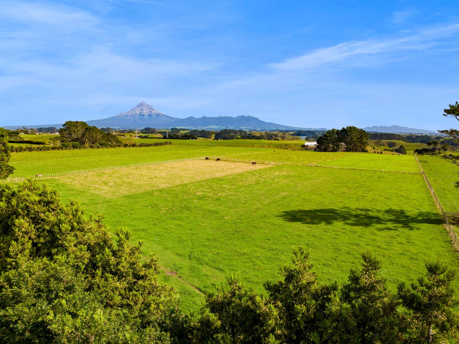 82 Clearview Road, Lepperton