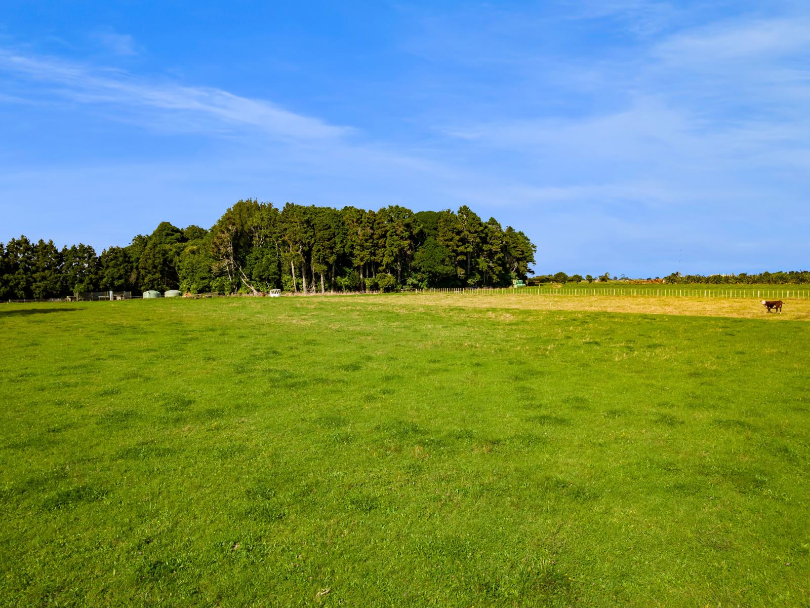 82 Clearview Road, Lepperton