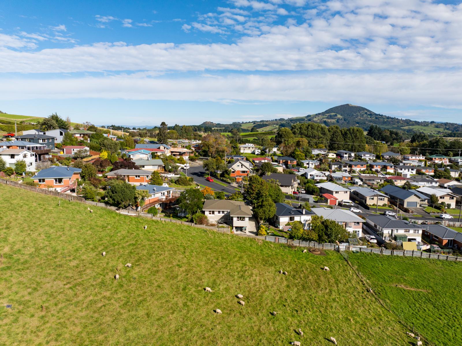 61 Elwyn Crescent, Green Island