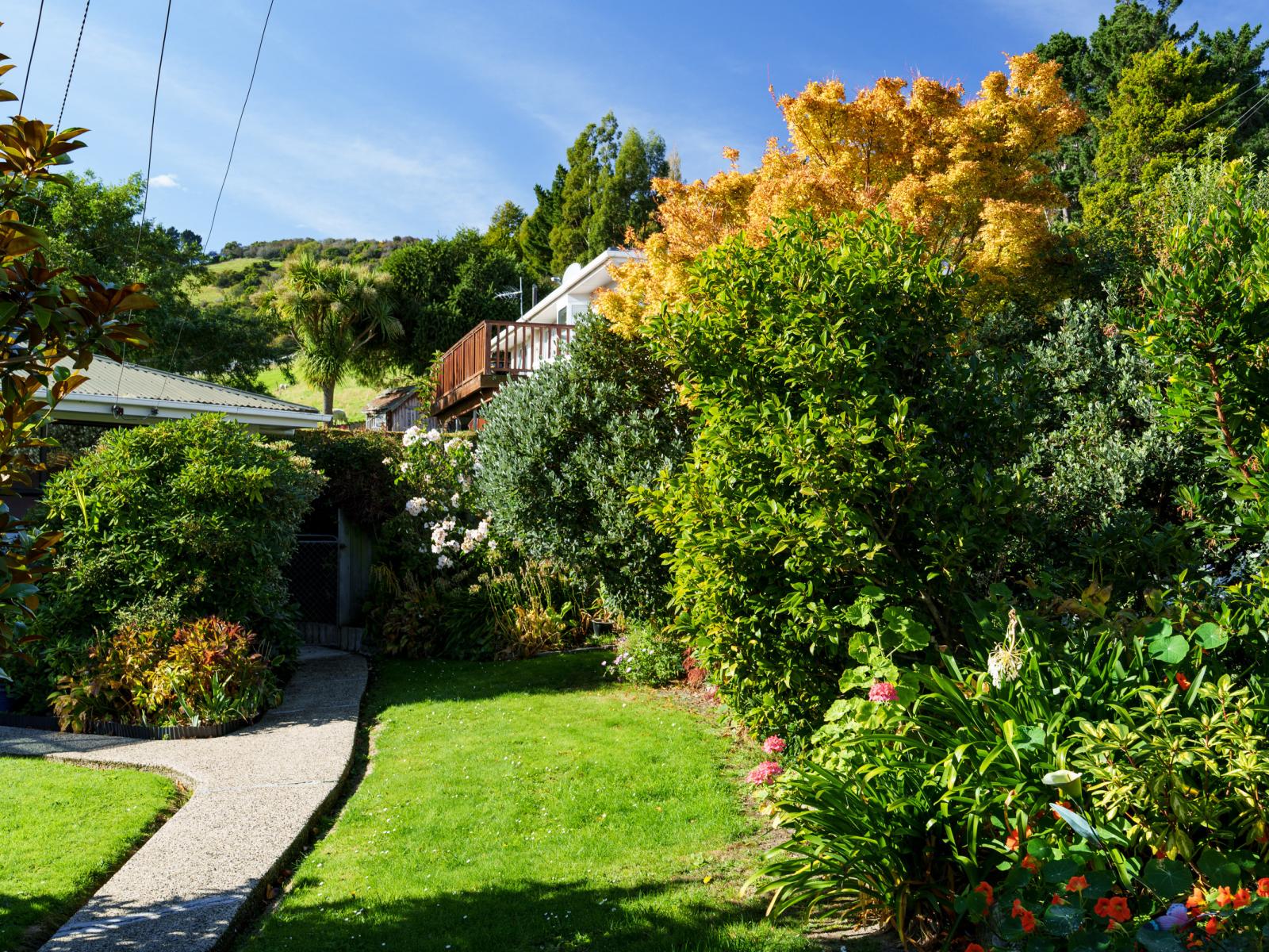 61 Elwyn Crescent, Green Island