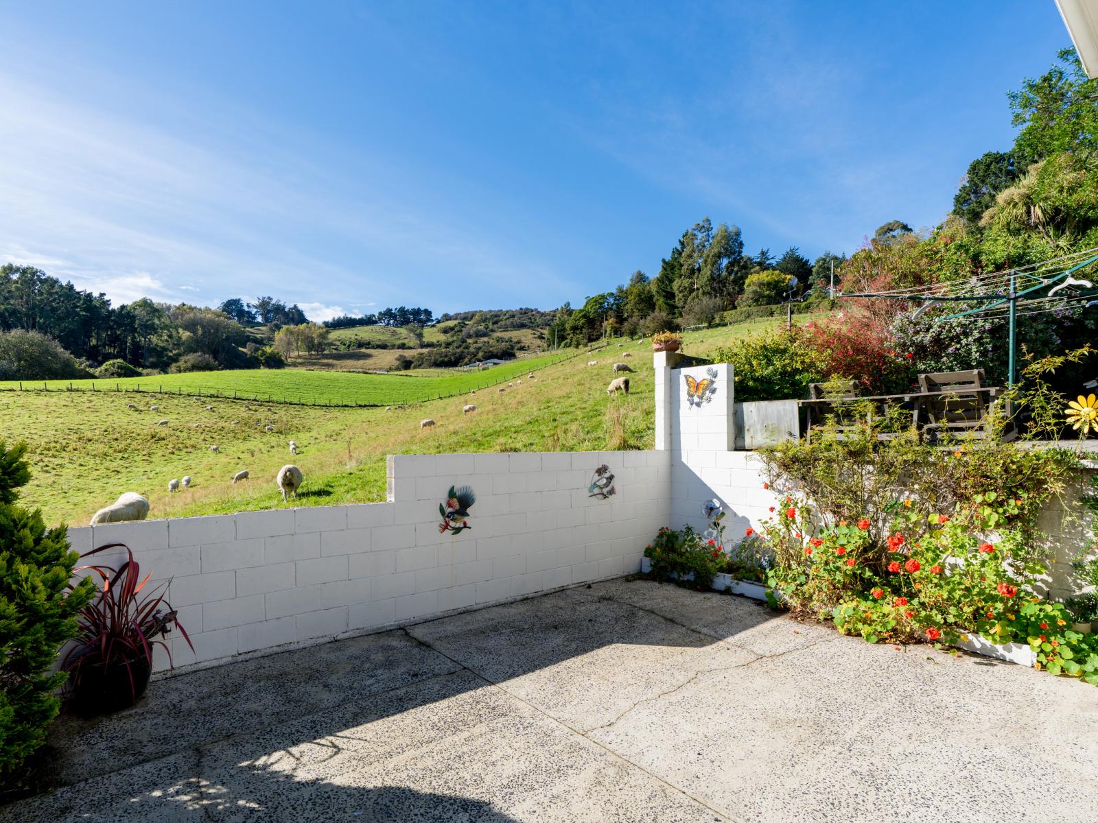 61 Elwyn Crescent, Green Island