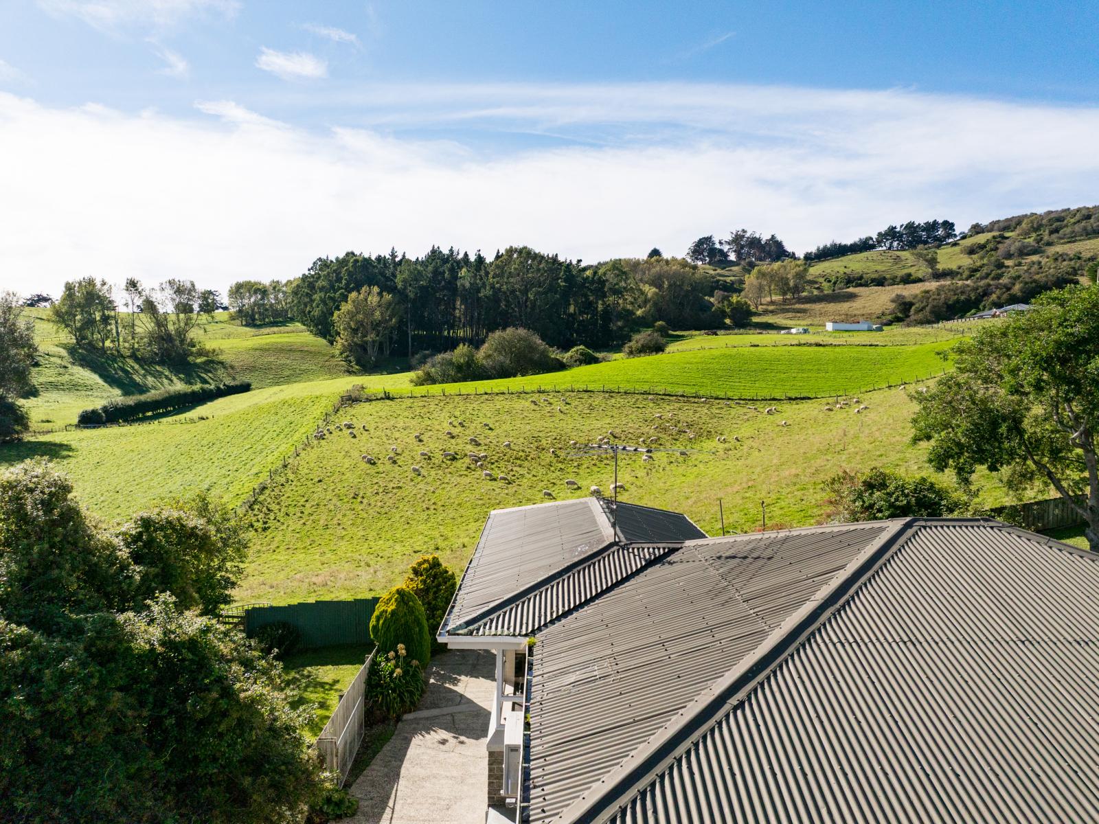 61 Elwyn Crescent, Green Island