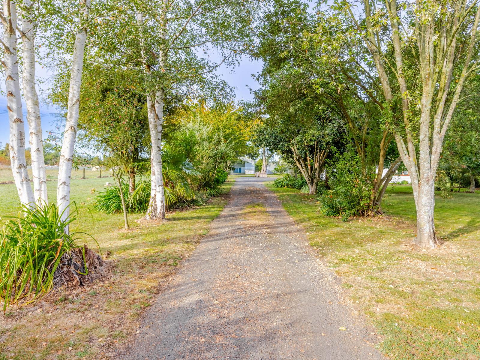 97 Matheson Road, Tikokino