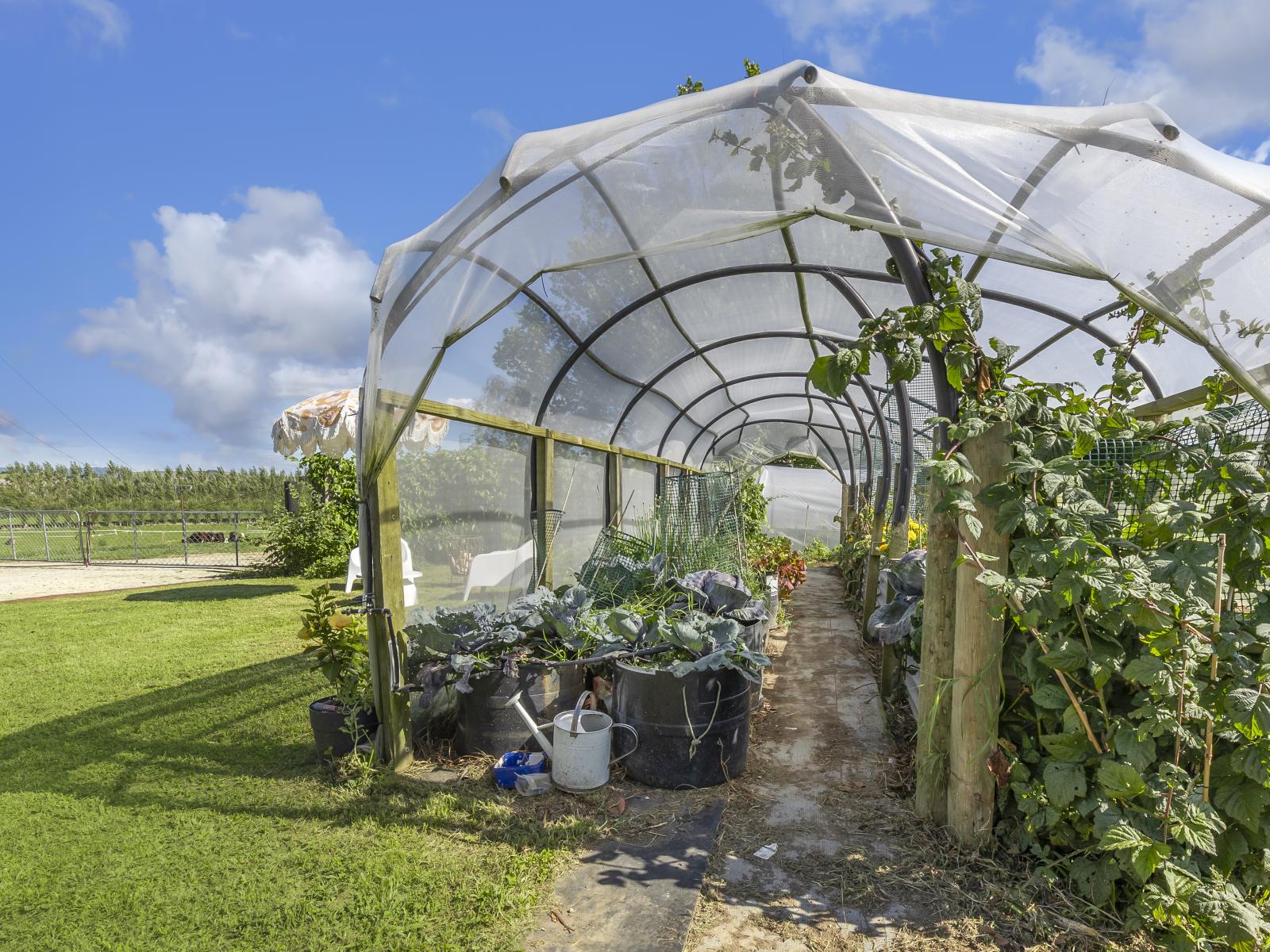 320 Seafund Road, Wharepuhunga