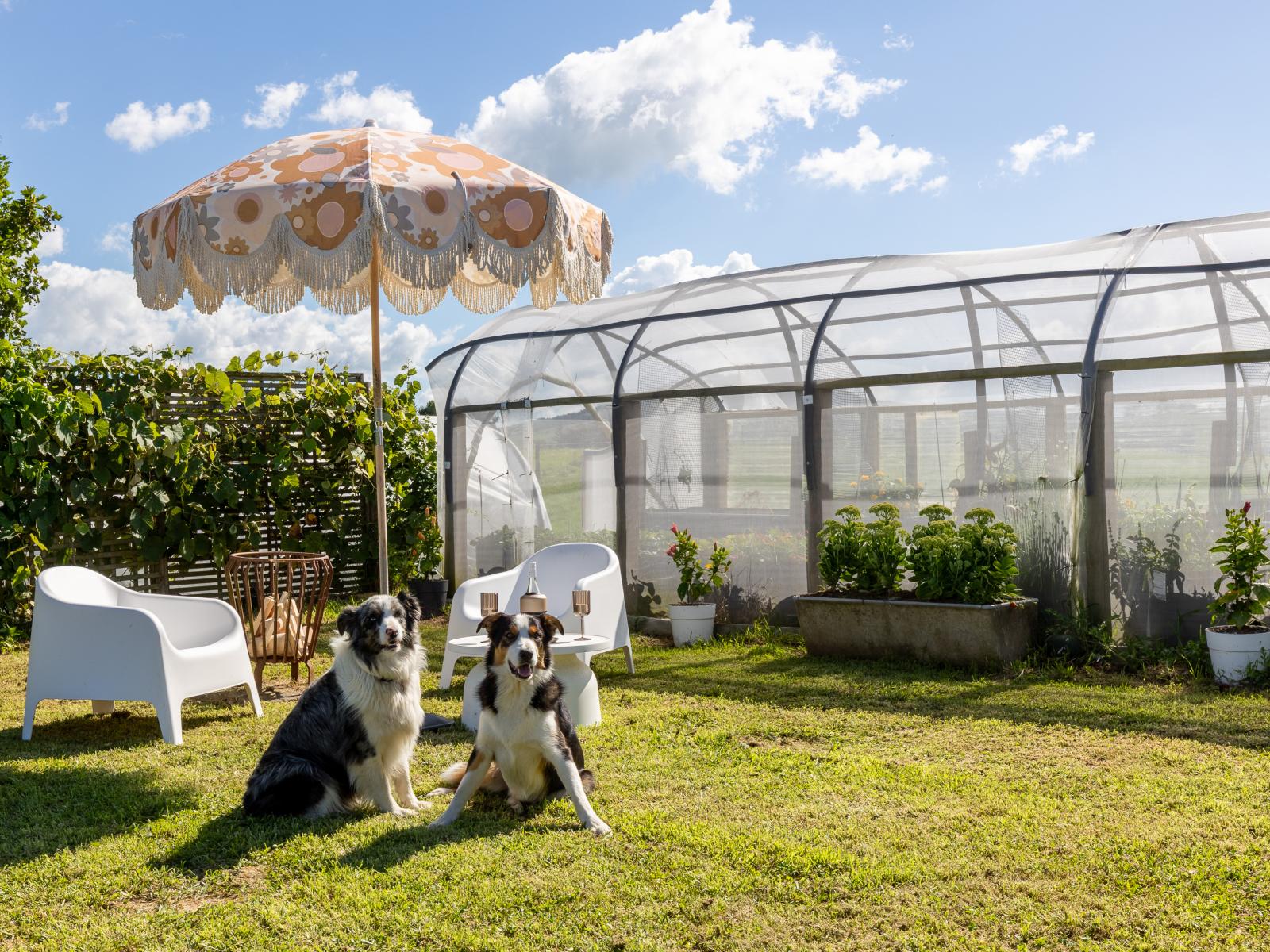 320 Seafund Road, Wharepuhunga