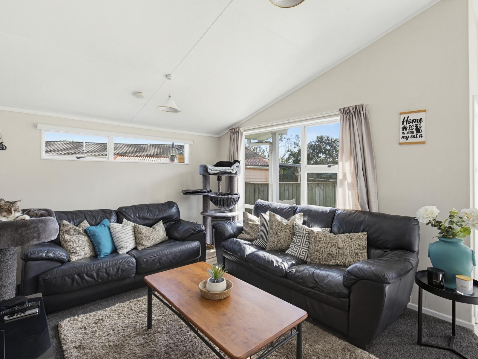 27 Morgan Crescent, Levin