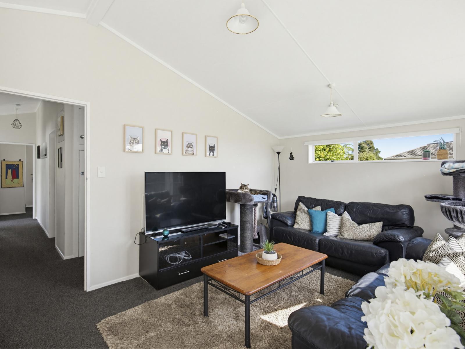 27 Morgan Crescent, Levin