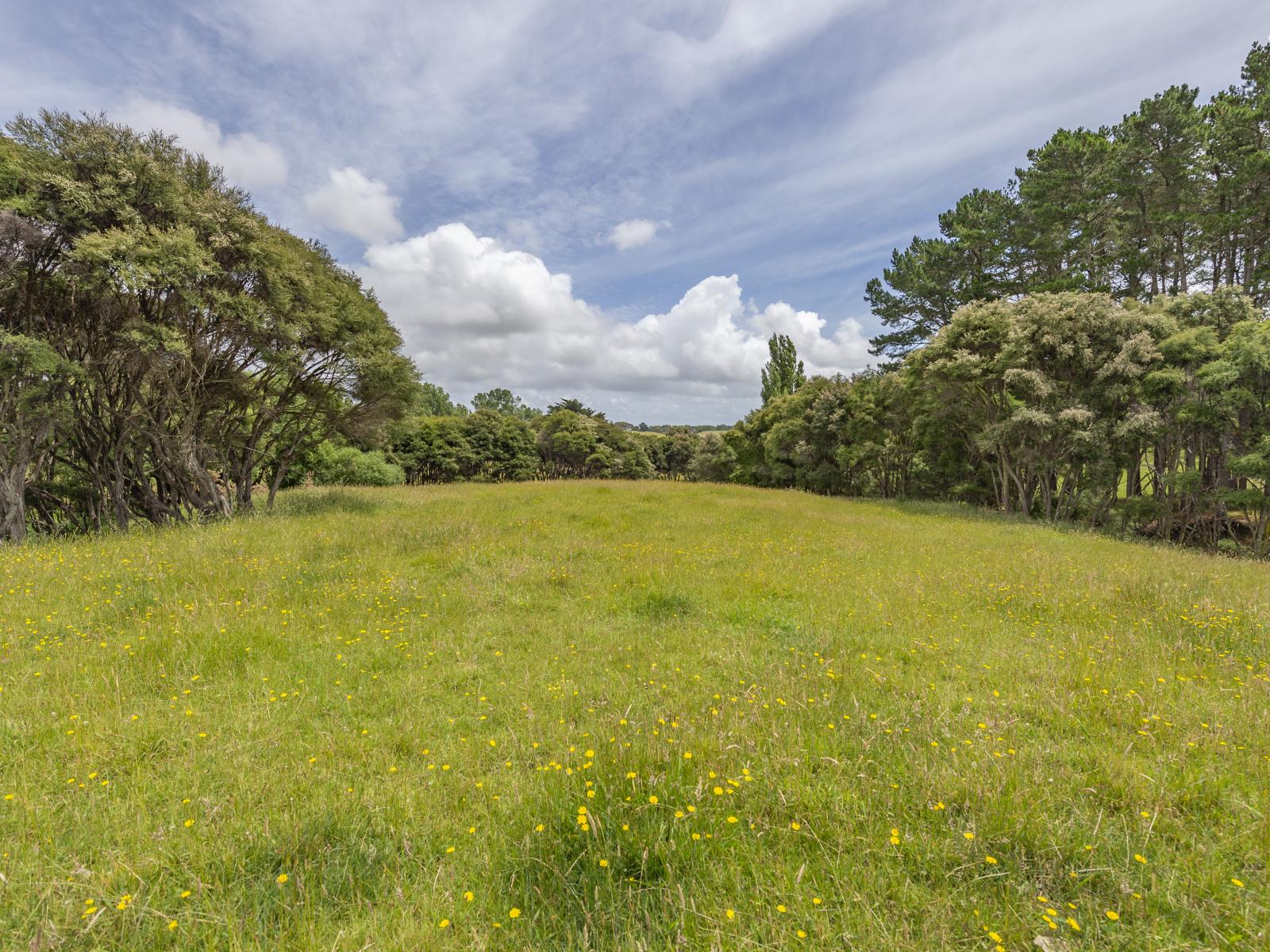 1358 Makirikiri Road, Marton