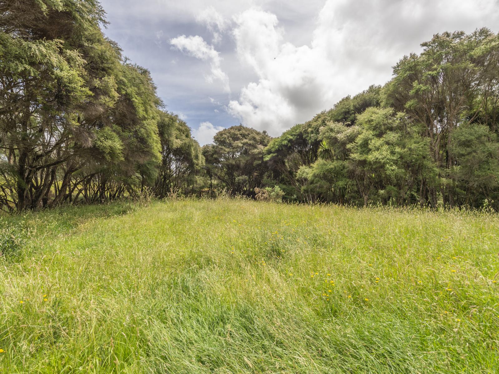 1358 Makirikiri Road, Marton