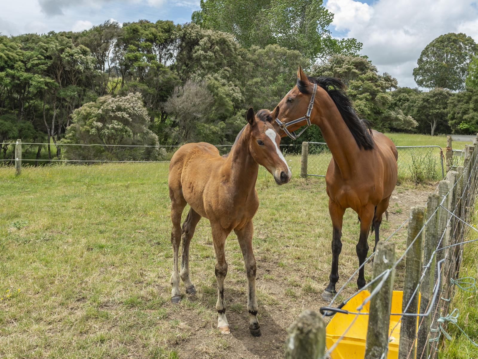 1358 Makirikiri Road, Marton