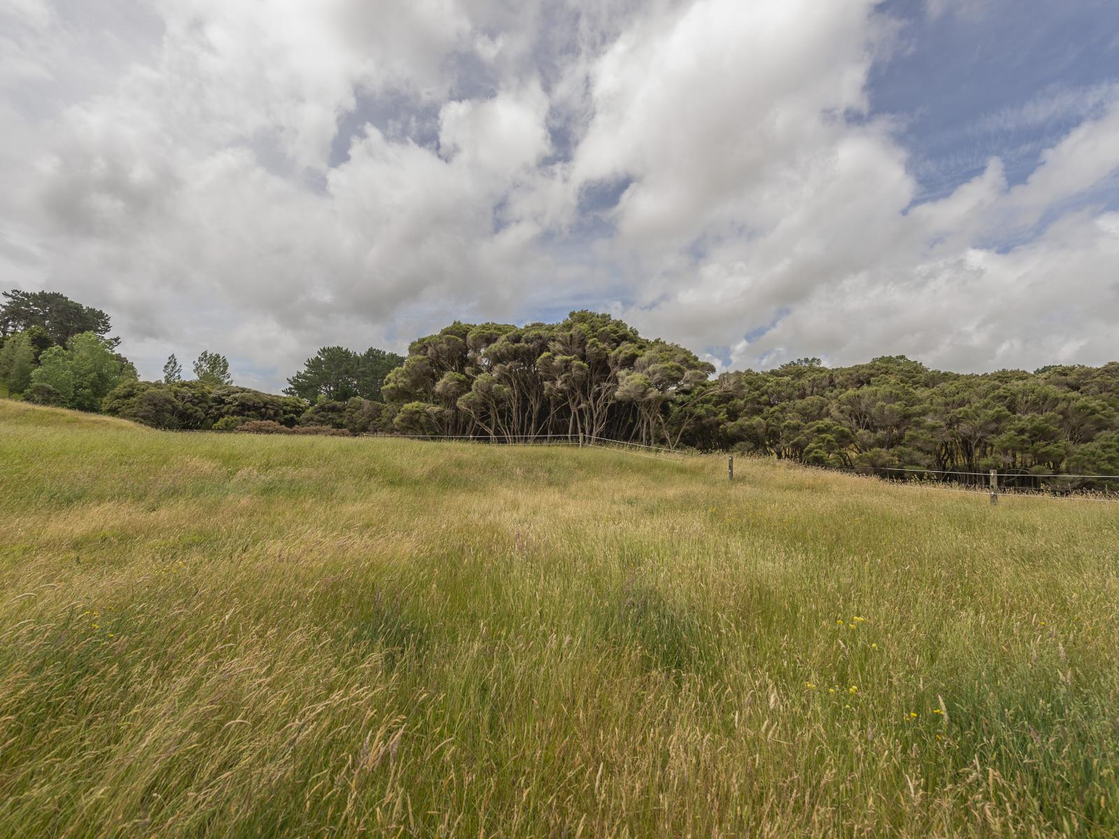 1358 Makirikiri Road, Marton