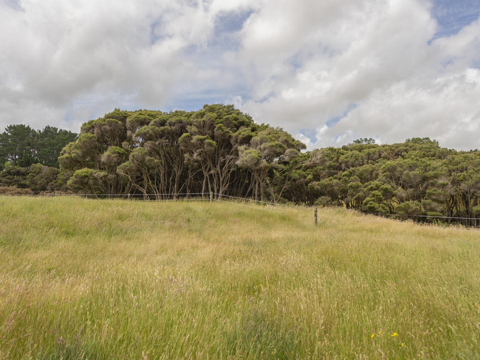 1358 Makirikiri Road, Marton
