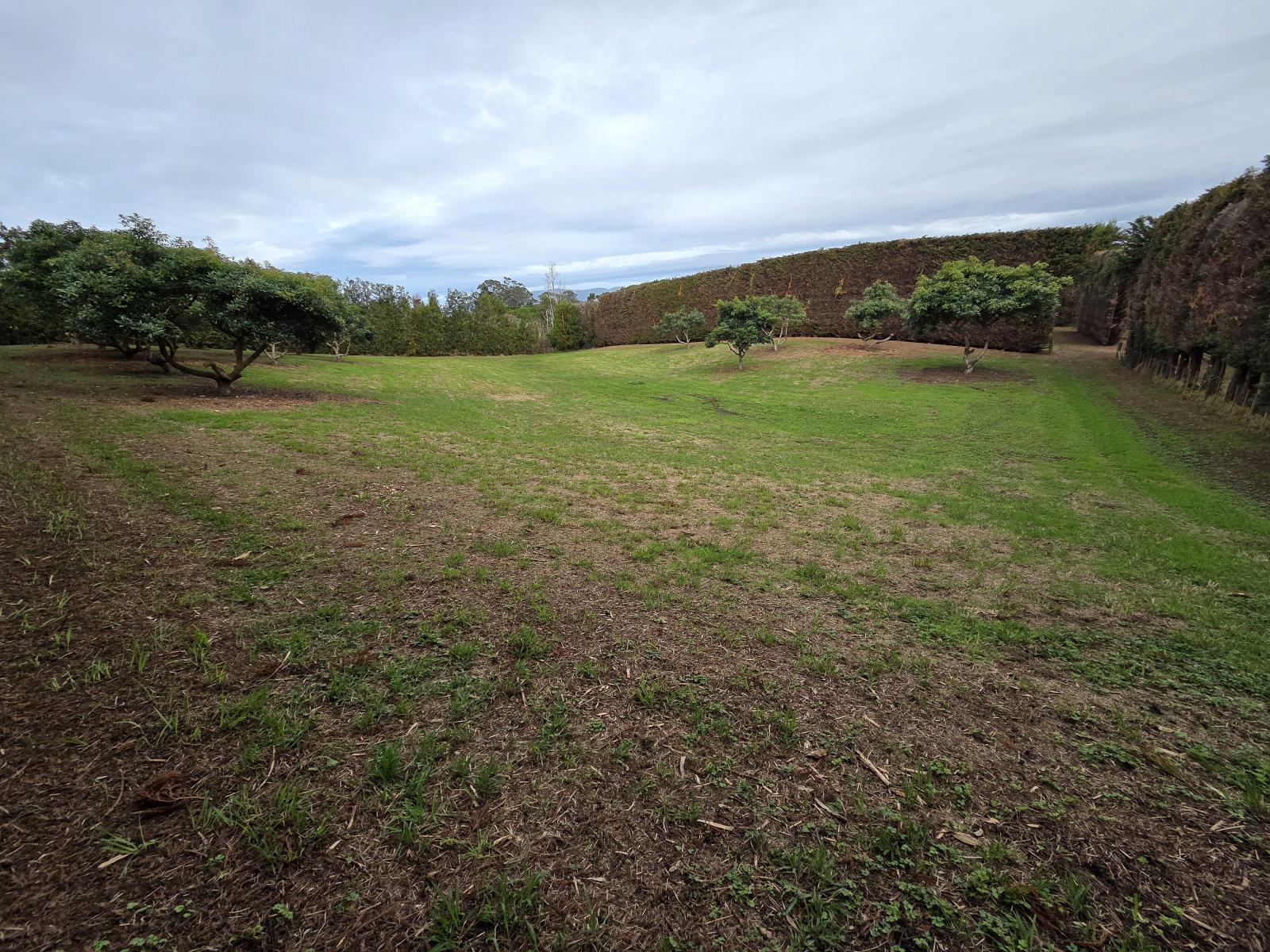 244 Beach Road, Katikati