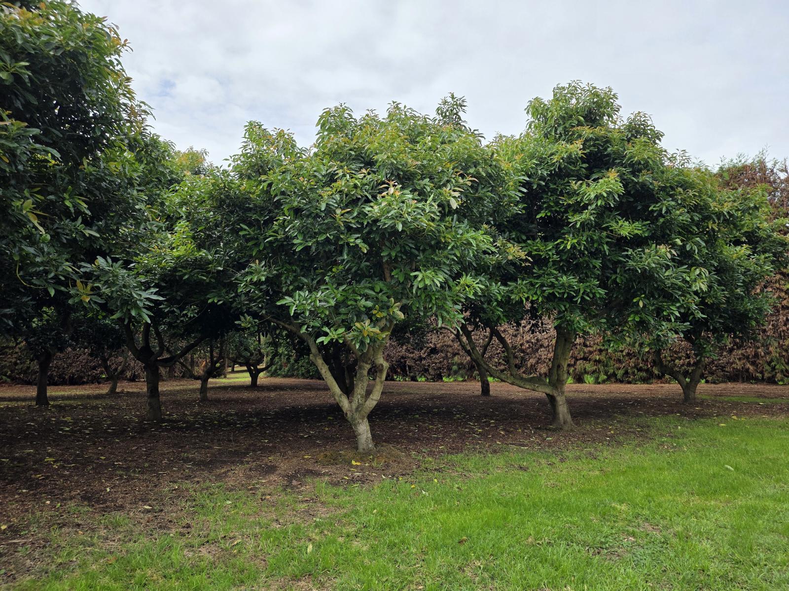 244 Beach Road, Katikati