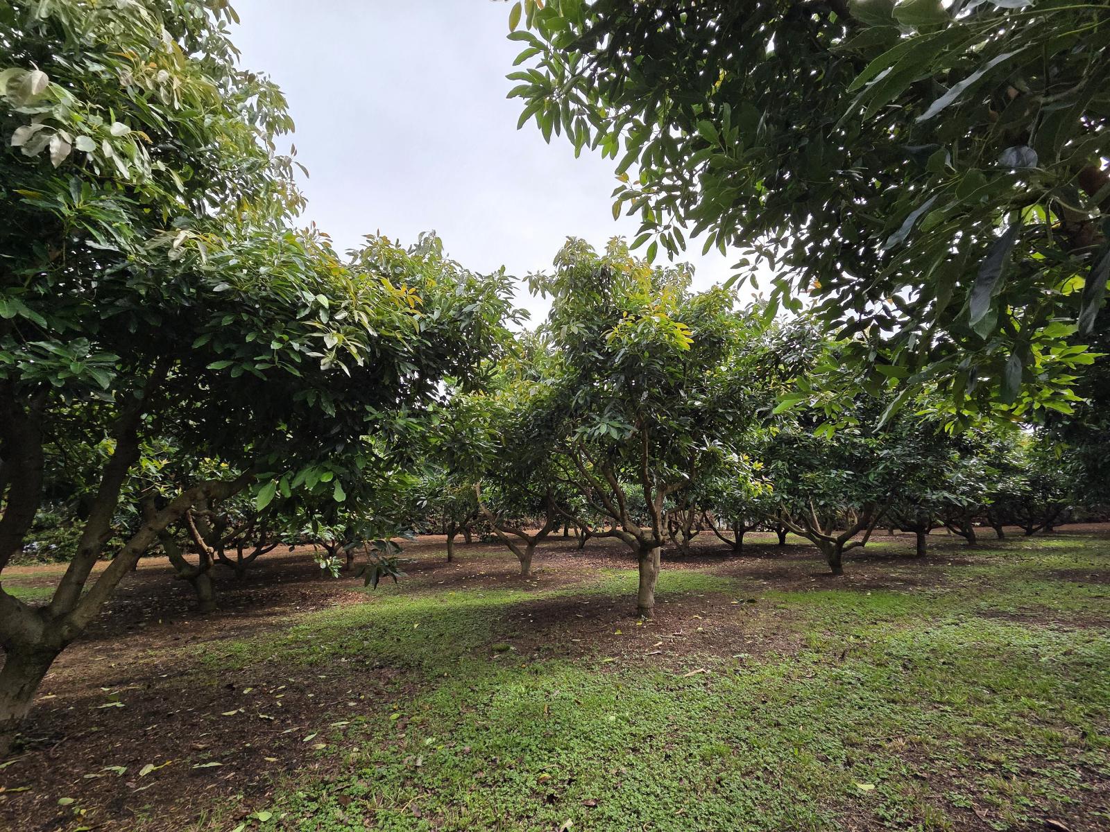 244 Beach Road, Katikati